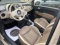 Fiat 500 Cabrio STÄNDIG ÜBER 60 FIAT500 IM BESTAND!!! Beige - thumbnail 11