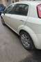 Fiat Punto Punto III 2012 3p 1.3 mjt 16v Young 75cv Bianco - thumbnail 3