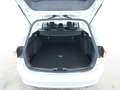 Ford Focus Titanium Easy Parking Winterpaket Срібний - thumbnail 8