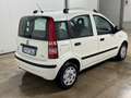 Fiat Panda Panda 1.2 Dynamic Mamy 69cv E5 Weiß - thumbnail 4