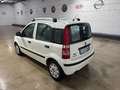 Fiat Panda Panda 1.2 Dynamic Mamy 69cv E5 Weiß - thumbnail 5