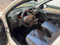 Fiat Panda Panda 1.2 Dynamic Mamy 69cv E5 Weiß - thumbnail 8