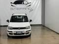 Fiat Panda Panda 1.2 Dynamic Mamy 69cv E5 Weiß - thumbnail 2