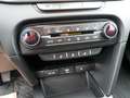Kia Ceed / cee'd 1,0 T-GDI GPF Silber Blau - thumbnail 16