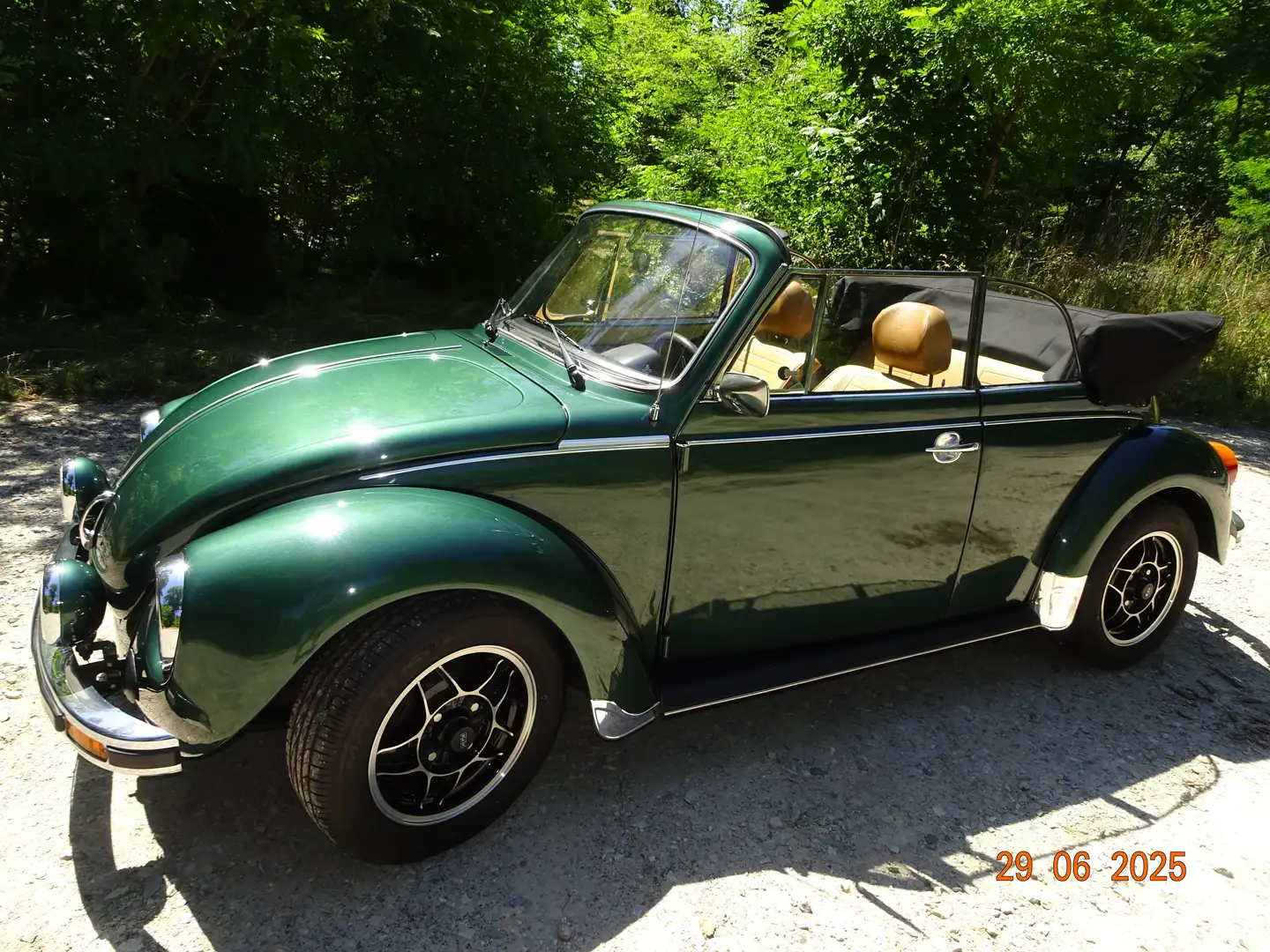 Volkswagen Käfer Cabrio Grün - 1