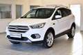 Ford Kuga Titanium/AUT.NAVI/ZAHNRIEMEN NEU/ Weiß - thumbnail 3