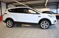 Ford Kuga Titanium/AUT.NAVI/ZAHNRIEMEN NEU/ Weiß - thumbnail 8