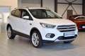 Ford Kuga Titanium/AUT.NAVI/ZAHNRIEMEN NEU/ Weiß - thumbnail 1