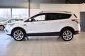 Ford Kuga Titanium/AUT.NAVI/ZAHNRIEMEN NEU/ Weiß - thumbnail 4