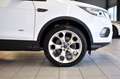 Ford Kuga Titanium/AUT.NAVI/ZAHNRIEMEN NEU/ Weiß - thumbnail 9
