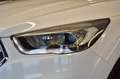 Ford Kuga Titanium/AUT.NAVI/ZAHNRIEMEN NEU/ Weiß - thumbnail 10