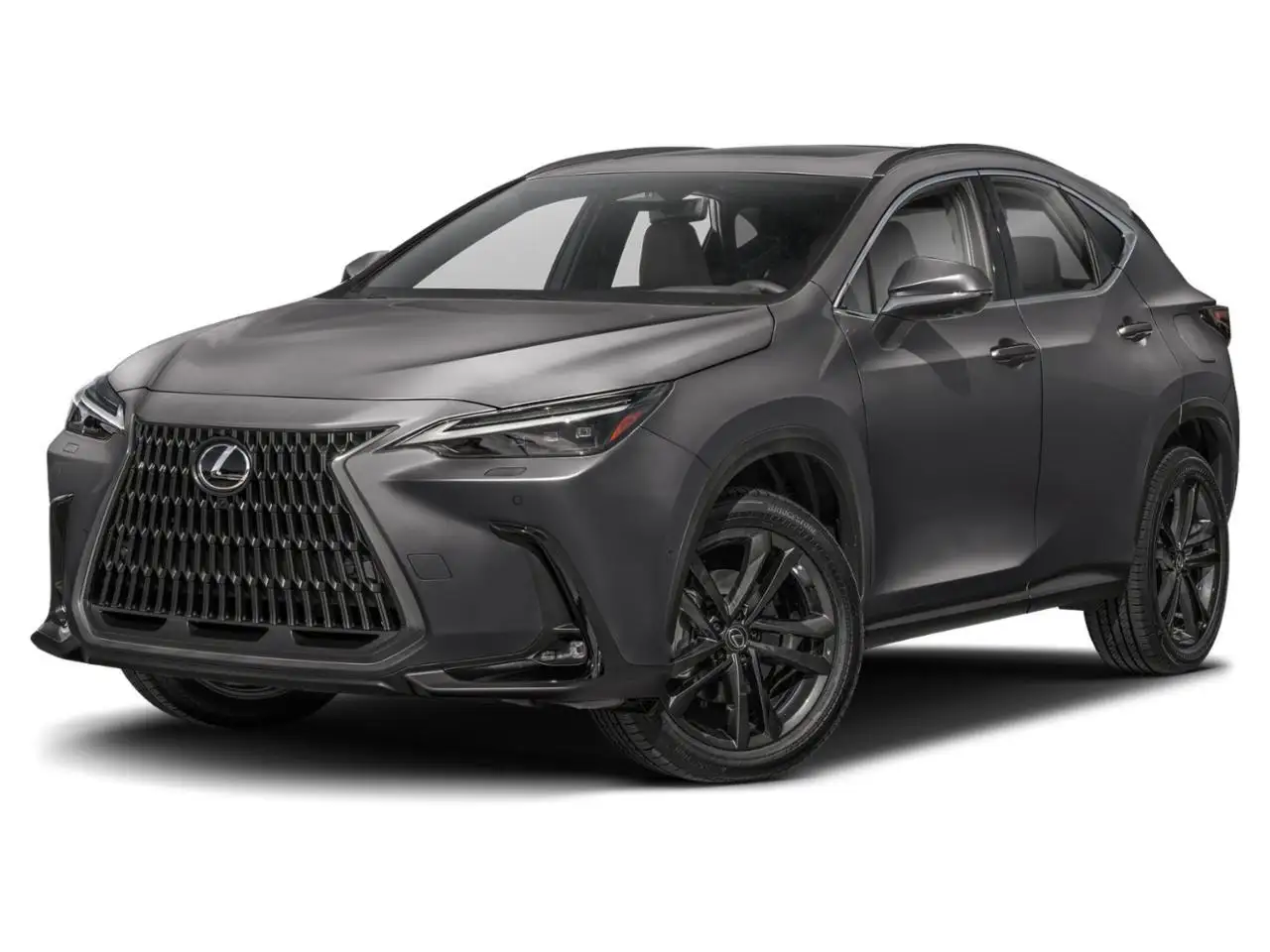 2026 Lexus NX photo 2026 Lexus NX