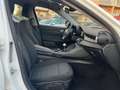 Alfa Romeo Giulia 2.2 t 150cv Bianco - thumbnail 11