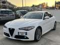 Alfa Romeo Giulia 2.2 t 150cv Bianco - thumbnail 3