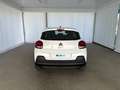 Citroen C3 PureTech 83 S&S YOU Bianco - thumbnail 4
