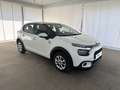 Citroen C3 PureTech 83 S&S YOU Bianco - thumbnail 5