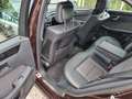 Mercedes-Benz E 220 E 220 CDI Avantgarde°2 Hand°Distronic°AHK Mauve - thumbnail 13