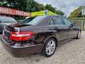 Mercedes-Benz E 220 E 220 CDI Avantgarde°2 Hand°Distronic°AHK Mauve - thumbnail 5