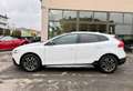 Volvo V40 Cross Country AWD T4 Benzina 190cv Blanc - thumbnail 5
