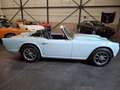 Triumph TR4 Bleu - thumbnail 7