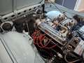 Triumph TR4 Bleu - thumbnail 33