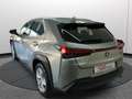 Lexus UX 250h Hybrid 2WD Business Italiana Ufficiale Argent - thumbnail 19