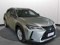 Lexus UX 250h Hybrid 2WD Business Italiana Ufficiale Argento - thumbnail 3