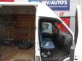 Iveco Daily 35 C 13V 300 h 2 - l1 dubbel lucht marge bus expor Weiß - thumbnail 8