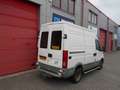 Iveco Daily 35 C 13V 300 h 2 - l1 dubbel lucht marge bus expor Weiß - thumbnail 3