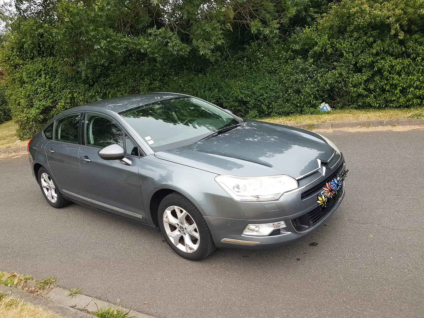 Citroen C5 C5 1.6 HDi 110 FAP airDream Gris - 2