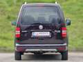Volkswagen Caddy Cross 4Motion* Anhängerkupplung* Tempomat* Violett - thumbnail 6