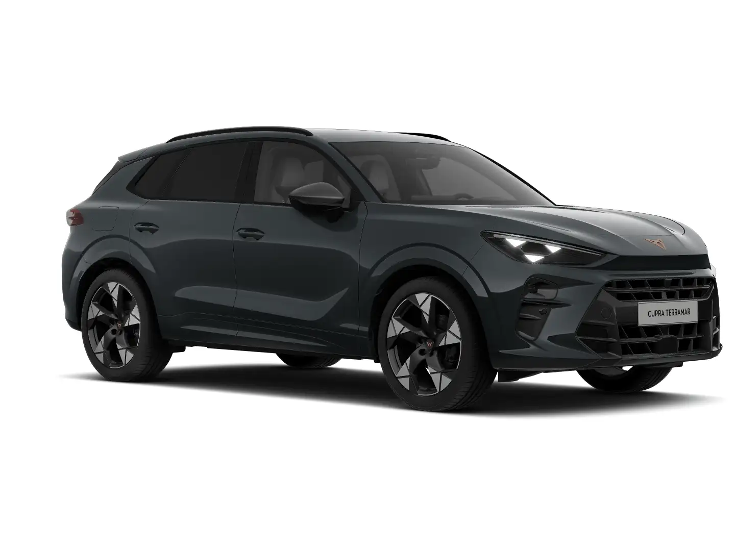 CUPRA Terramar 1.5 e-TSI 150 PS DSG Blau - 1