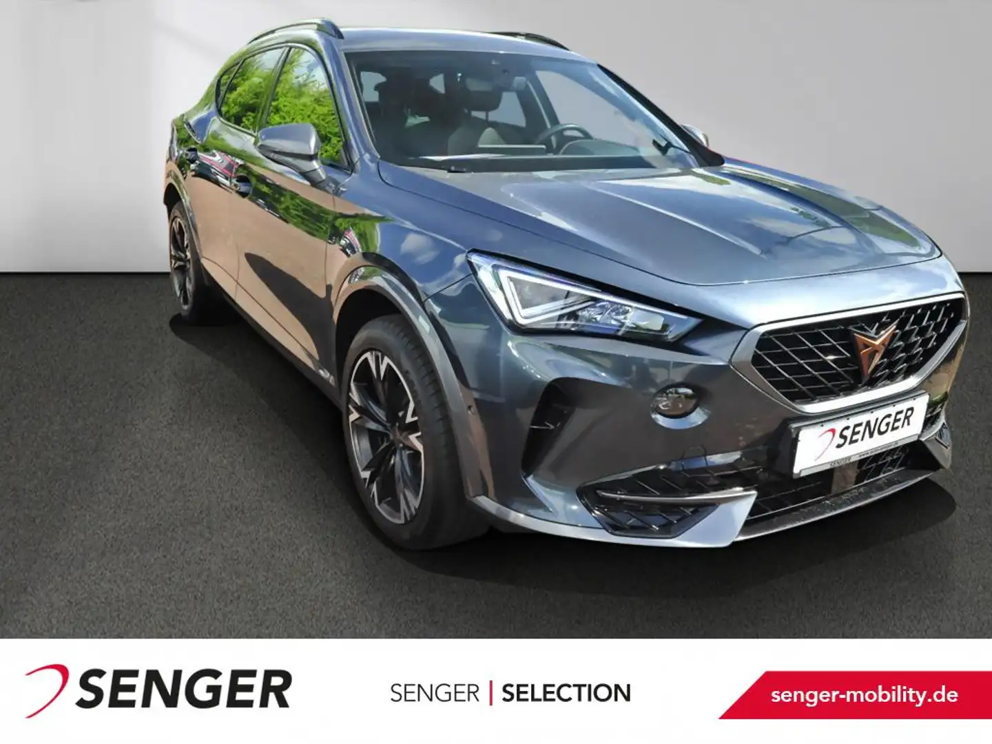 CUPRA Formentor 1.5 TSI DSG Navi LED PDC ACC Sitzhzg. Grau - 1