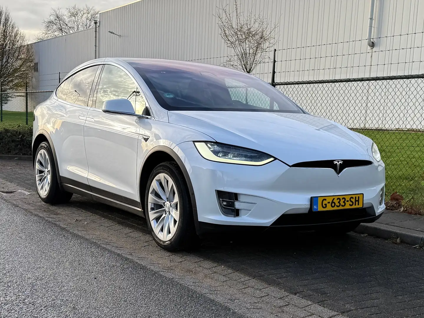 Tesla Model X Long Range SoH 92% Белый - 2