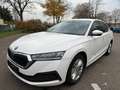 Skoda Octavia Ambition Weiß - thumbnail 1