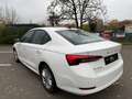 Skoda Octavia Ambition Weiß - thumbnail 8