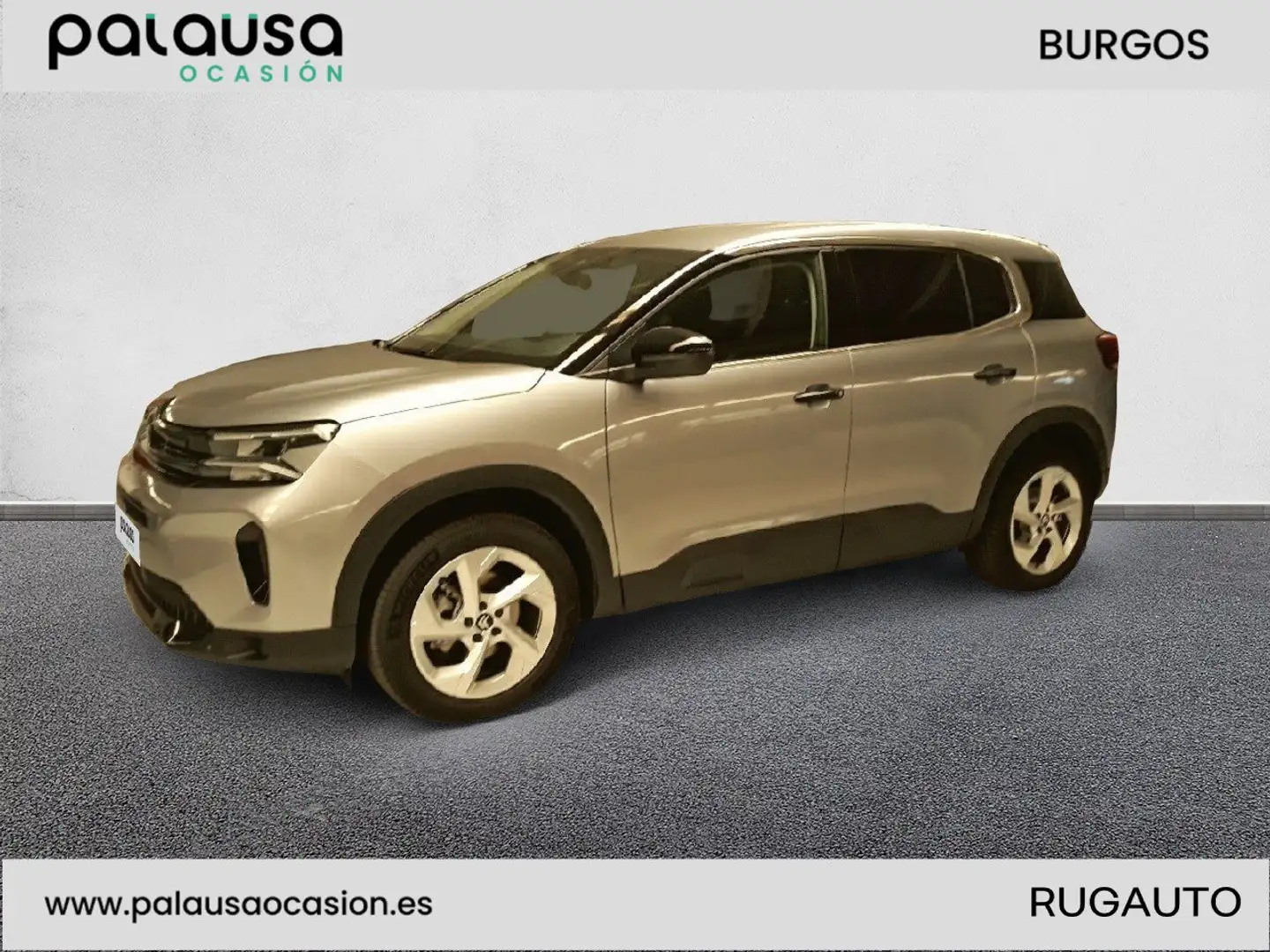 Citroen C5 Aircross BlueHDi S&S Plus EAT8 130 Gris - 1