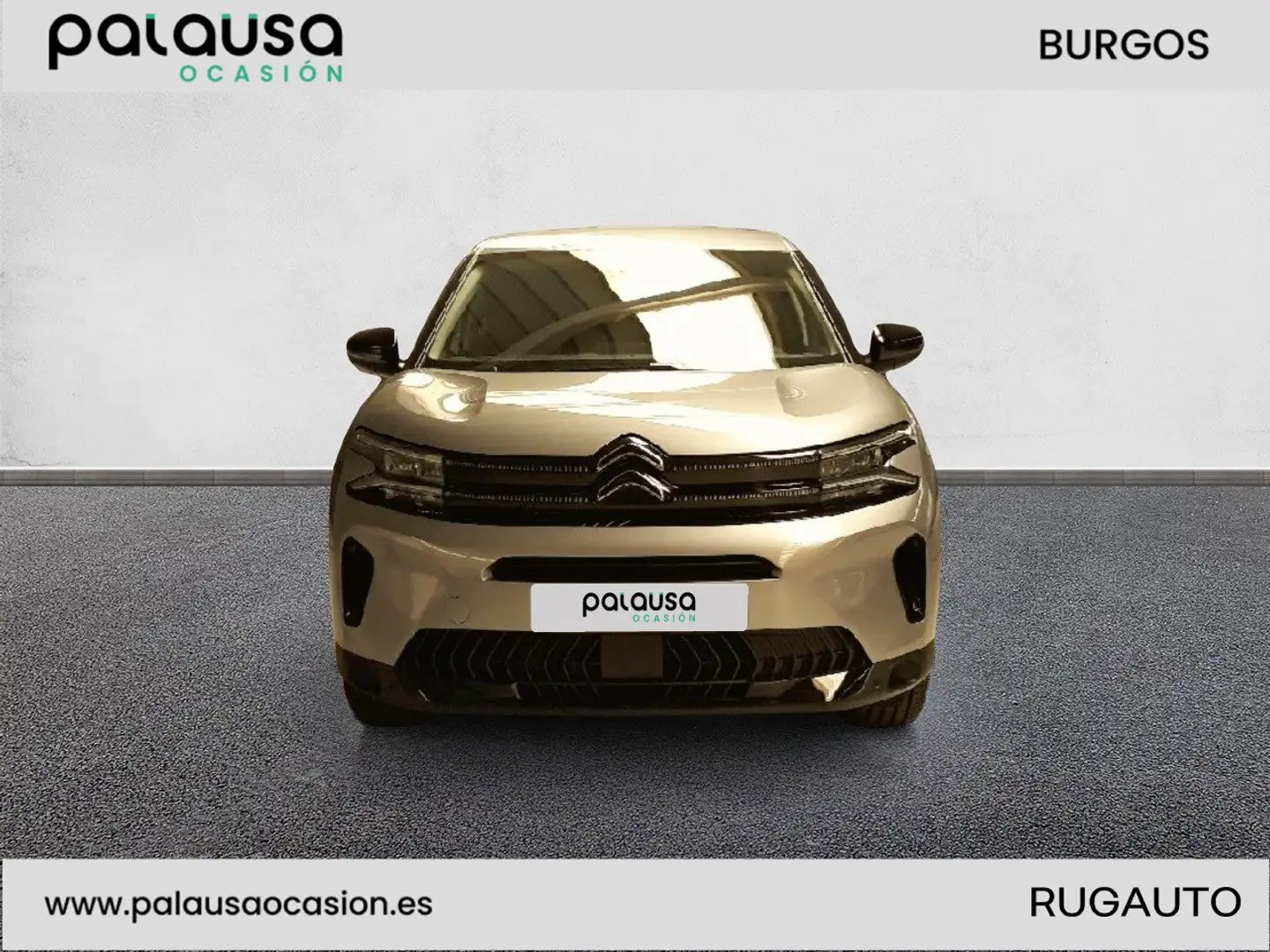 Citroen C5 Aircross BlueHDi S&S Plus EAT8 130 Gris - 2