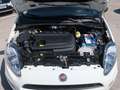 Fiat Punto 5p 1.3 mjt Street S&S - Per Neopat. Bianco - thumbnail 14
