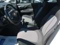 Fiat Punto 5p 1.3 mjt Street S&S - Per Neopat. Bianco - thumbnail 4