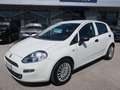 Fiat Punto 5p 1.3 mjt Street S&S - Per Neopat. Bianco - thumbnail 2