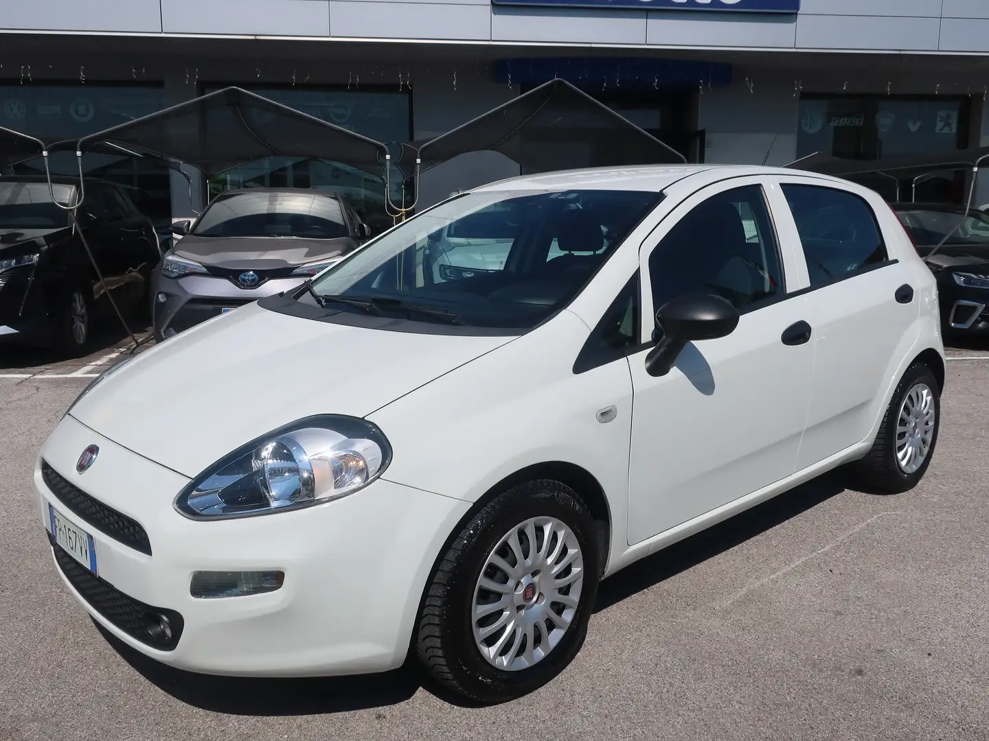Fiat Punto 5p 1.3 mjt Street S&S - Per Neopat. Bianco - 2