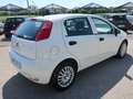 Fiat Punto 5p 1.3 mjt Street S&S - Per Neopat. Bianco - thumbnail 11