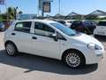Fiat Punto 5p 1.3 mjt Street S&S - Per Neopat. Bianco - thumbnail 15