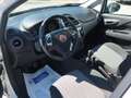 Fiat Punto 5p 1.3 mjt Street S&S - Per Neopat. Bianco - thumbnail 3