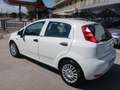 Fiat Punto 5p 1.3 mjt Street S&S - Per Neopat. Bianco - thumbnail 13