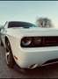 Dodge Challenger SRT 6.4L V8 Weiß - thumbnail 1