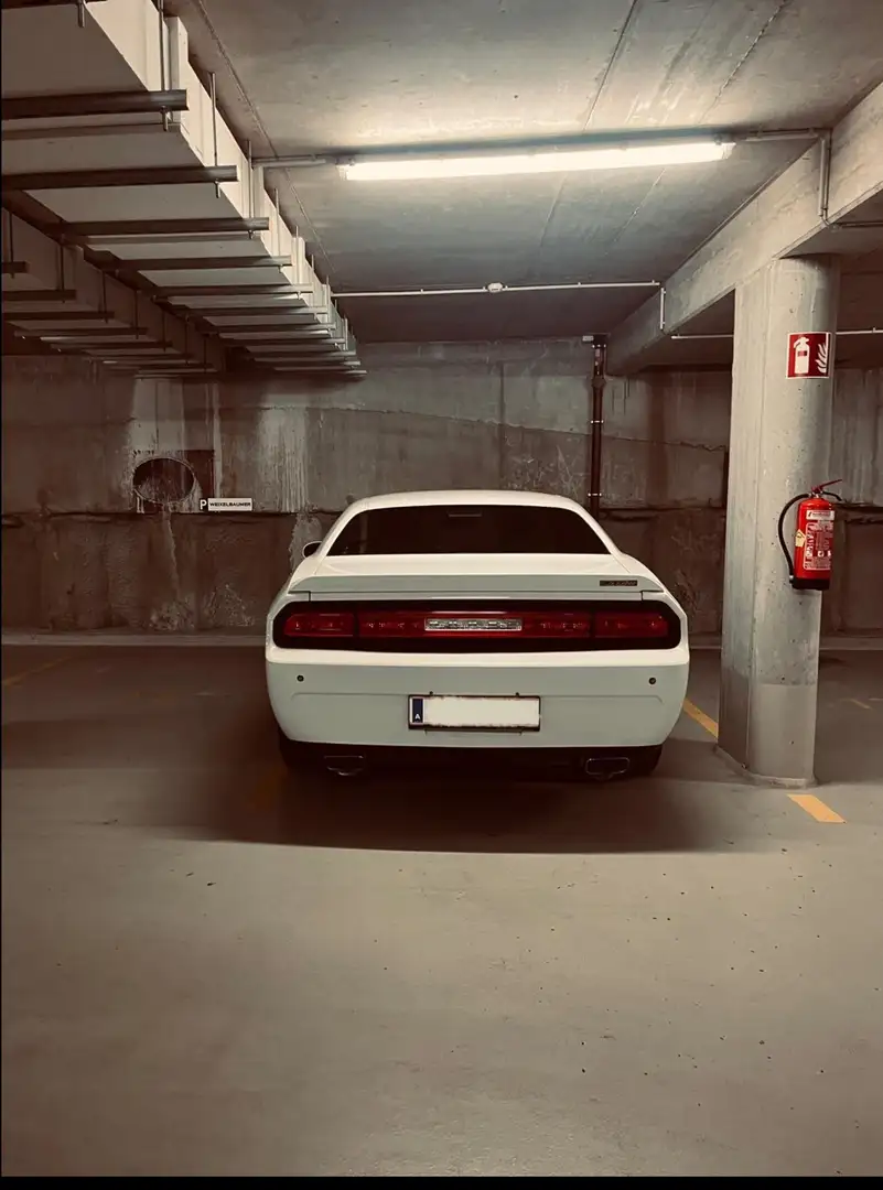 Dodge Challenger SRT 6.4L V8 Weiß - 2