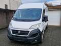 Fiat Ducato 180 Power L4H2 RS: 4035 mm Tüv 01/2028 Weiß - thumbnail 1