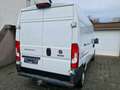 Fiat Ducato 180 Power L4H2 RS: 4035 mm Tüv 01/2028 Weiß - thumbnail 5